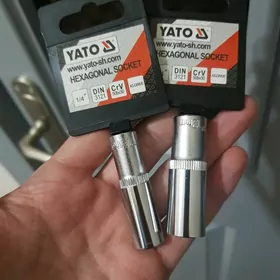 Acar tresotka golowka