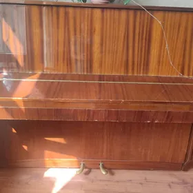 Ростов Дон пианино