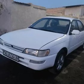 Toyota Corolla 1996