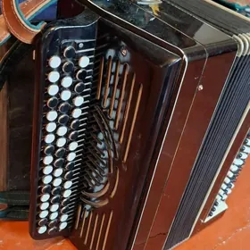 Баян, Гармонь,Часы СССР