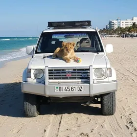 Mitsubishi Pajero 1991