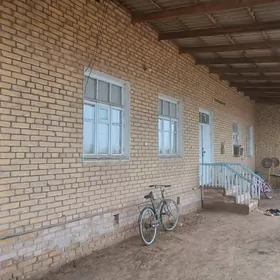 Satlyk planowoý jaý