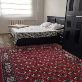 аренда элитка