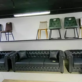 Çester troýka Ofis troýka koźa