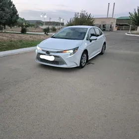 Toyota Corolla 2021