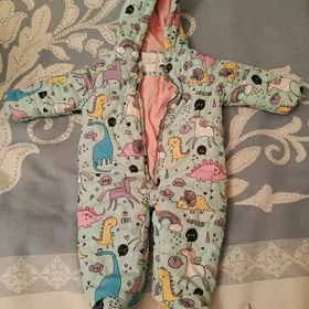 камбенизон