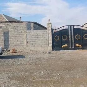 masyn jay bile admen satlyk