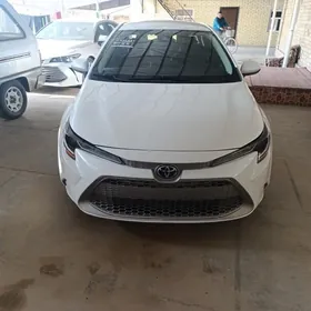 Toyota Corolla 2020