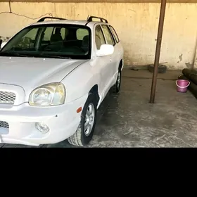 Hyundai Santa Fe 2004