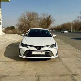 Toyota Corolla 2021