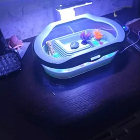 Террариум для черепах