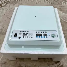 Inkubator Инкубатор