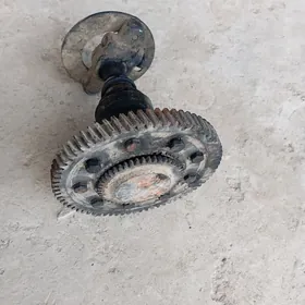 Maz zažganni sestrna