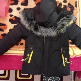 отдам бесплатно