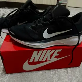 nike air zoom pegasus41