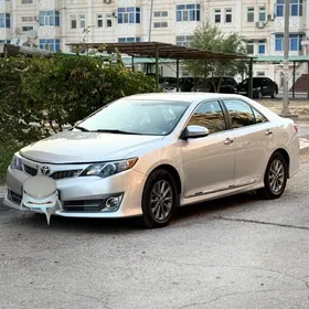 paltanyn arginal mantafony