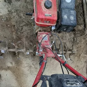 ýer tiplise tyratyr