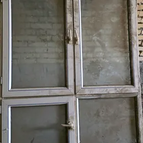 Пластика айна