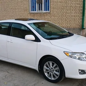 Toyota Corolla 2010