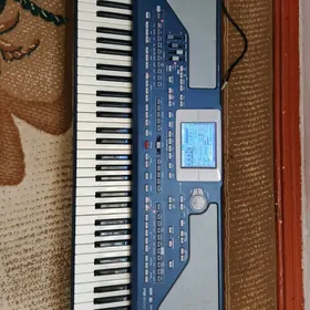 KORG PA 800