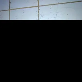 Balgarka hova bilen işleýär