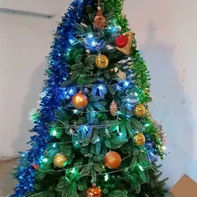 Tazeýyl arca yolkamugtbaha