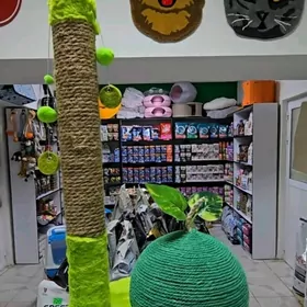 когтеточки.