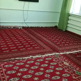 Daşoguz boldumsaz Nowruz koce