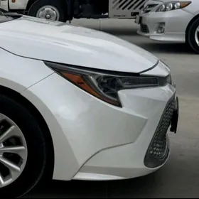 Toyota Corolla Fara 19-24 sag