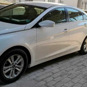 Hyundai Sonata 2010
