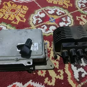 kapitr modl cuswitel dacik