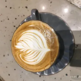 SROCNA BARİSTA GEREK