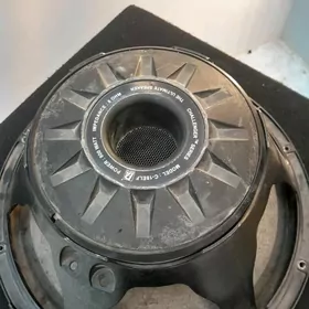 Dinamik Chelenjer 800 nizki