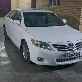Toyota Camry 2010