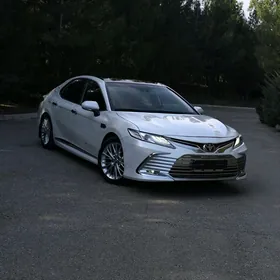Toyota Camry 2019
