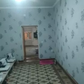 Kolhozny kocede satlyk jay