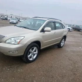 Lexus RX 330 2004