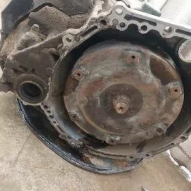 okuz kelle karopka  morda