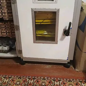 инкубатор 216 саны жуйже чыкян