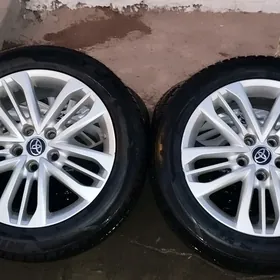 Клыч Кемри родной дискасы R17