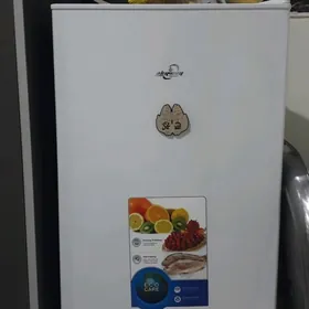 satlyk holodilnik mini