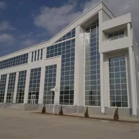 abiznoy satlyk zdaniya