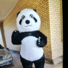 Içine girilýän Mişka