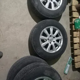 disga pakrisga 15lik pasdi taz