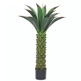 suwnir꧁𝙃𝙖𝙯𝙮𝙣𝙖𝙨𝙚𝙮𝙛꧂