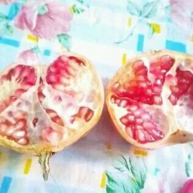 bidäne nar гранаты бескосточко