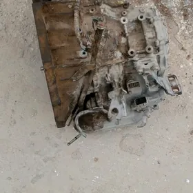 koropka yarıs işlänok