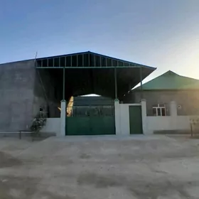 MAGTYMGULY 8 SOTUK PLAN