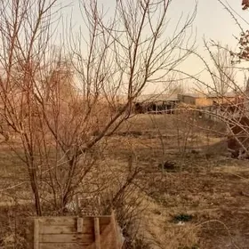 pelwert oba satlyk jay