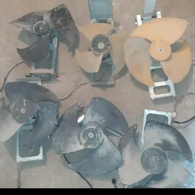 Kansaner zapjaslary ba